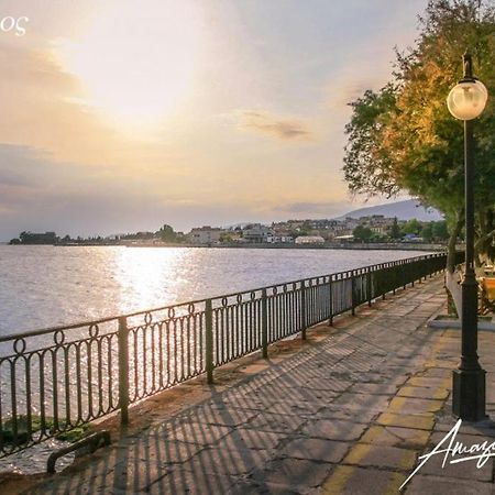 Seaside Villa Andronikos アマリントス エクステリア 写真