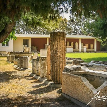Seaside Villa Andronikos アマリントス エクステリア 写真