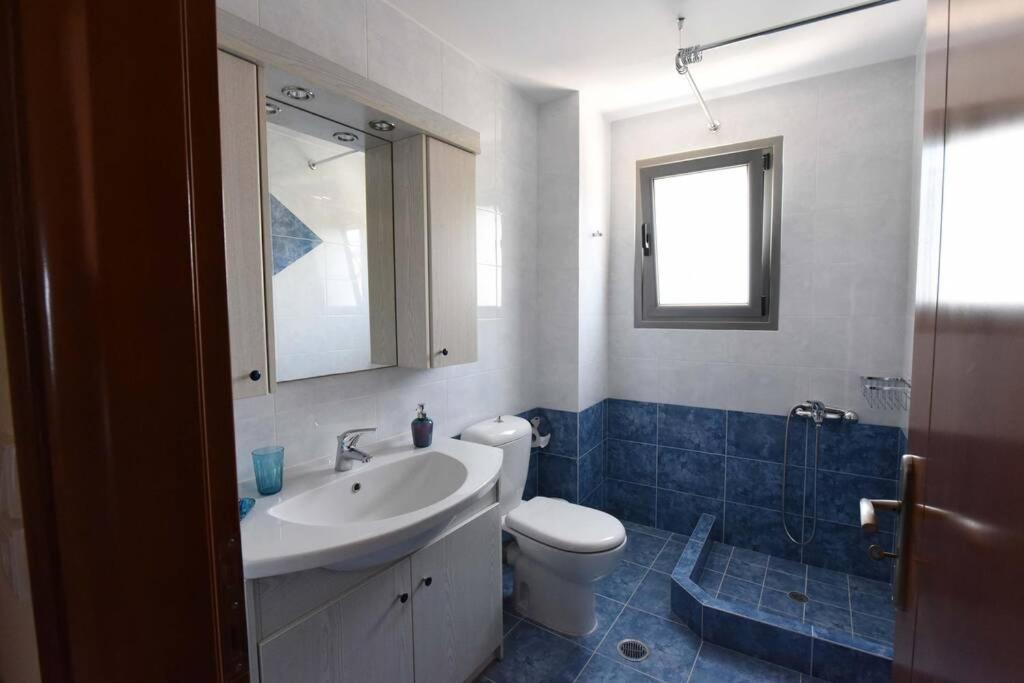 Seaside Villa Andronikos アマリントス エクステリア 写真