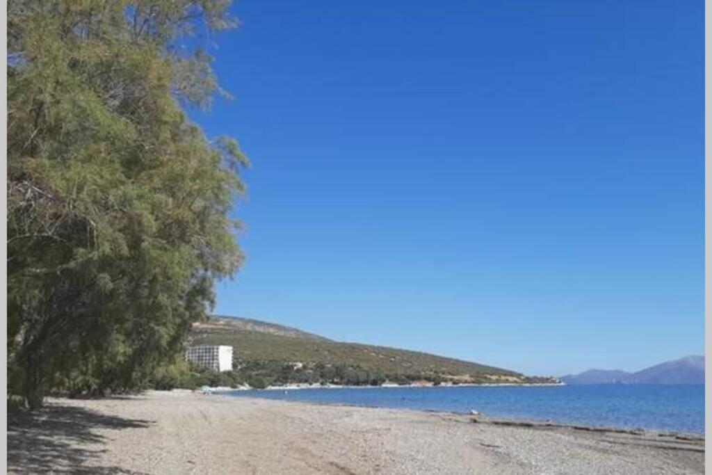 Seaside Villa Andronikos アマリントス エクステリア 写真