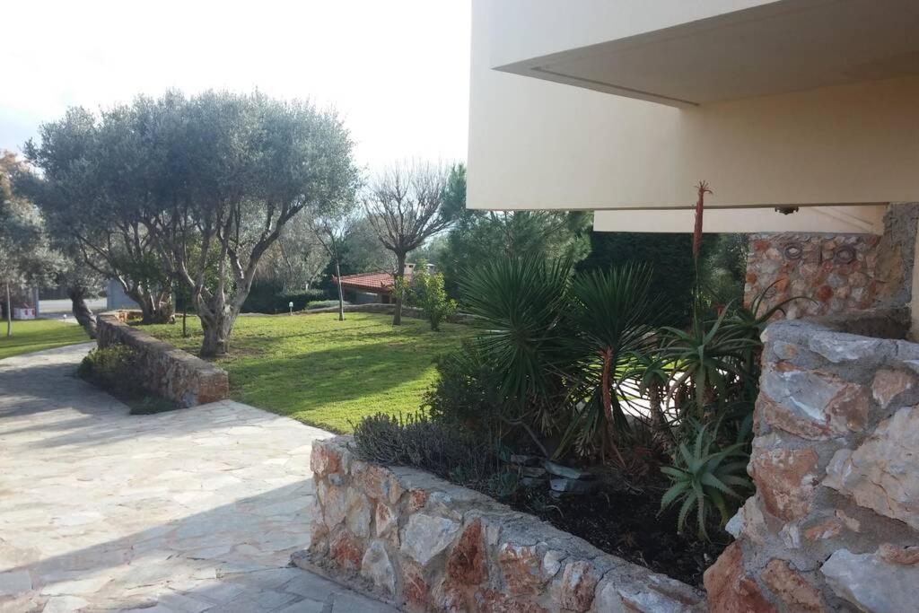 Seaside Villa Andronikos アマリントス エクステリア 写真