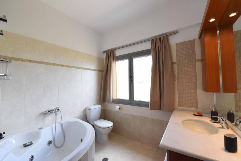 Seaside Villa Andronikos アマリントス エクステリア 写真