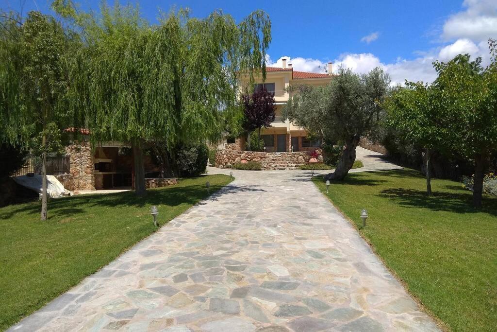 Seaside Villa Andronikos アマリントス エクステリア 写真