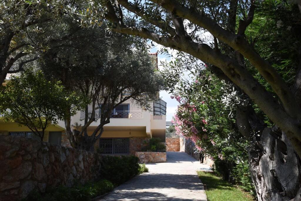 Seaside Villa Andronikos アマリントス エクステリア 写真