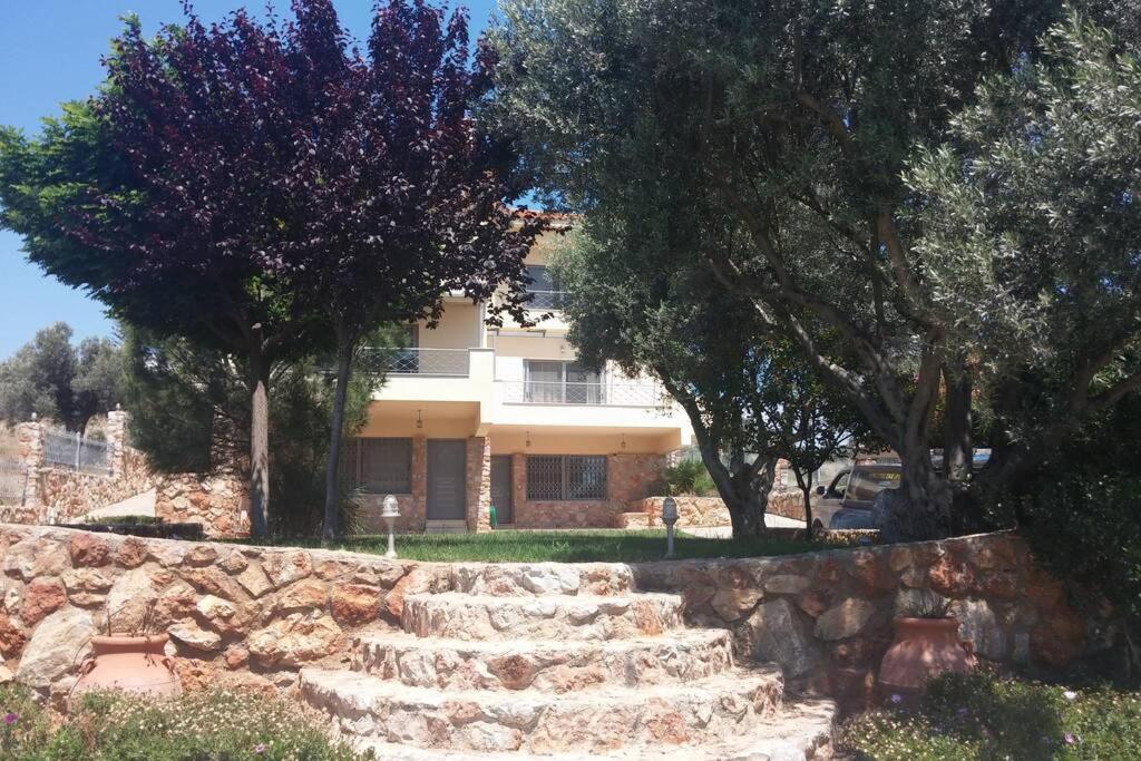 Seaside Villa Andronikos アマリントス エクステリア 写真