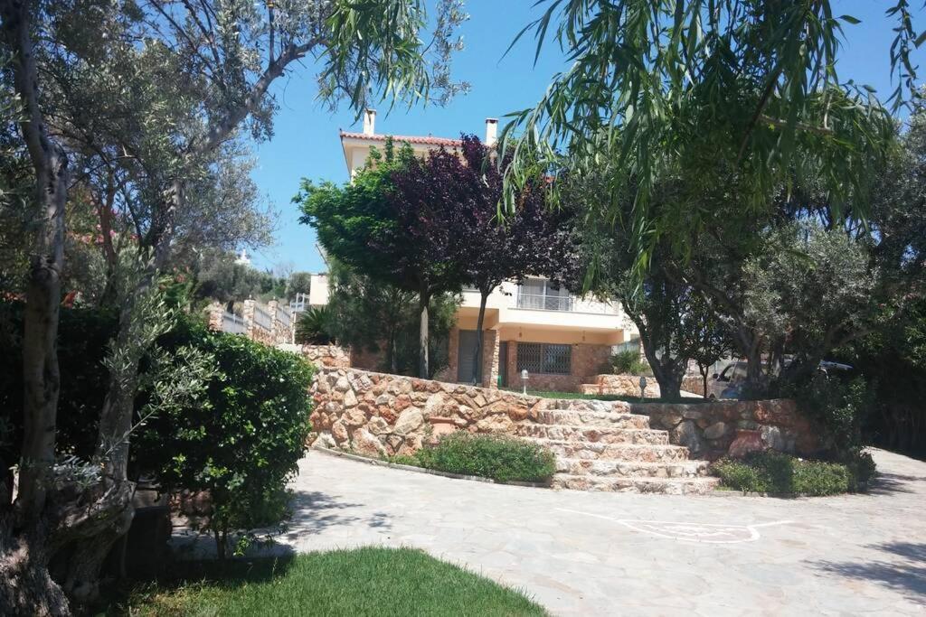 Seaside Villa Andronikos アマリントス エクステリア 写真
