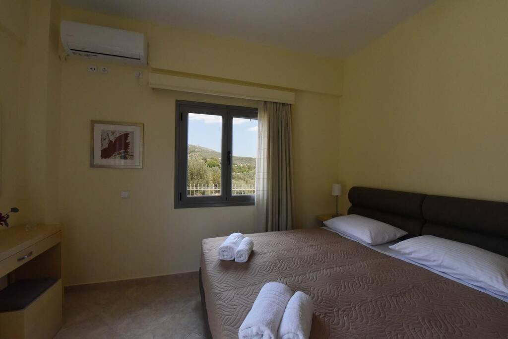 Seaside Villa Andronikos アマリントス エクステリア 写真