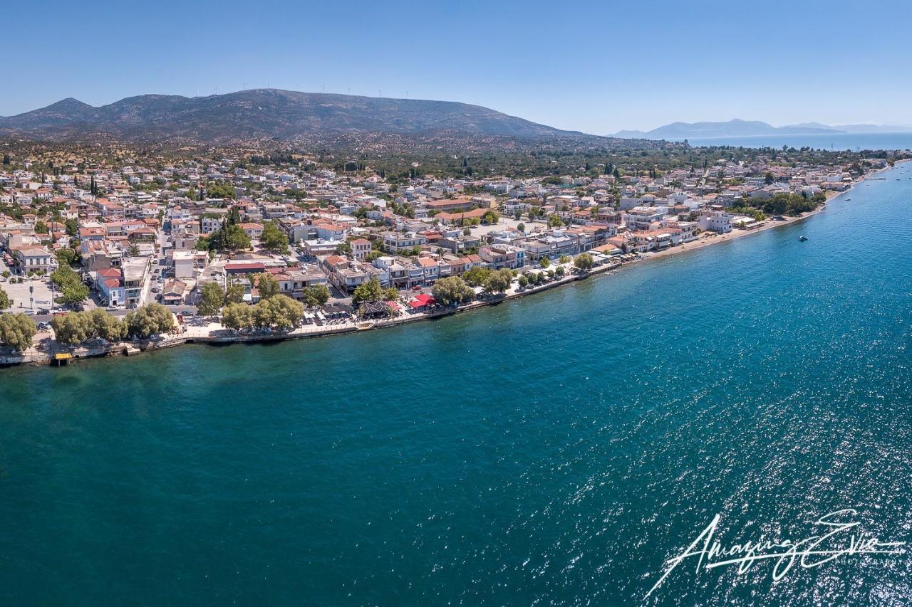 Seaside Villa Andronikos アマリントス エクステリア 写真