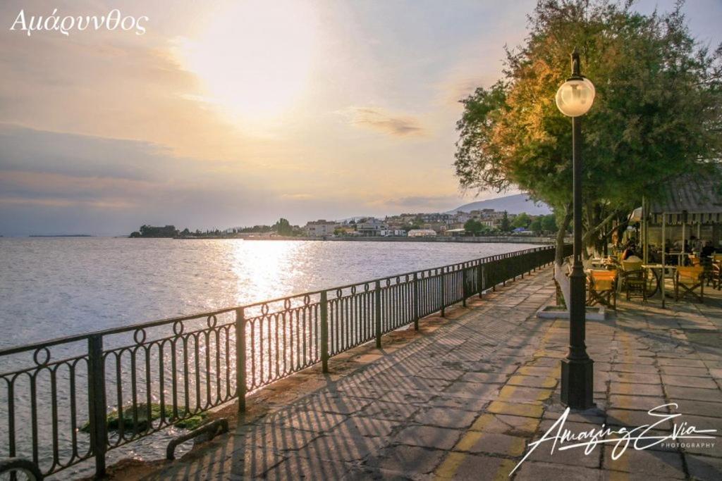Seaside Villa Andronikos アマリントス エクステリア 写真