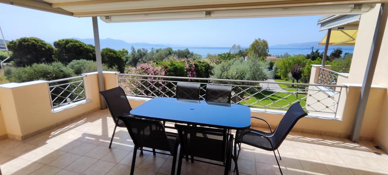 Seaside Villa Andronikos アマリントス エクステリア 写真